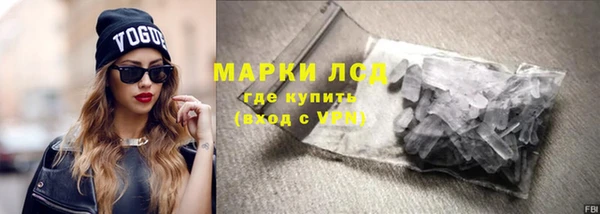 индика Пестово