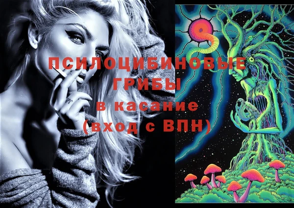 индика Пестово