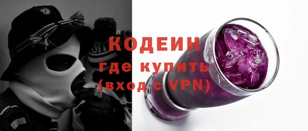 индика Пестово