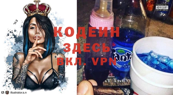 индика Пестово