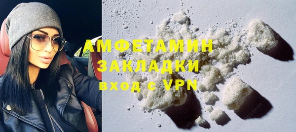 индика Пестово