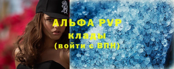 индика Пестово