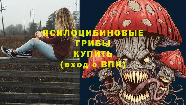 марки lsd Пересвет