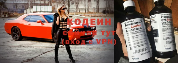 индика Пестово