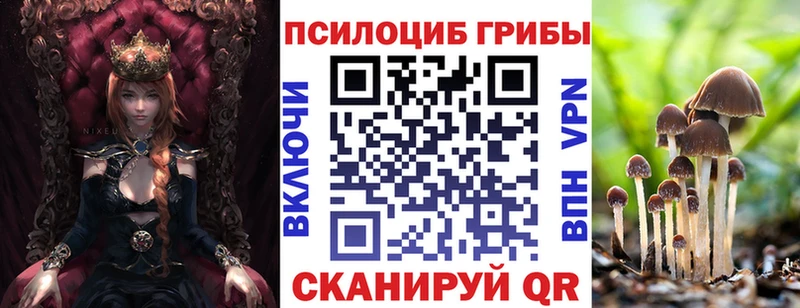 Галлюциногенные грибы Cubensis  Моршанск 