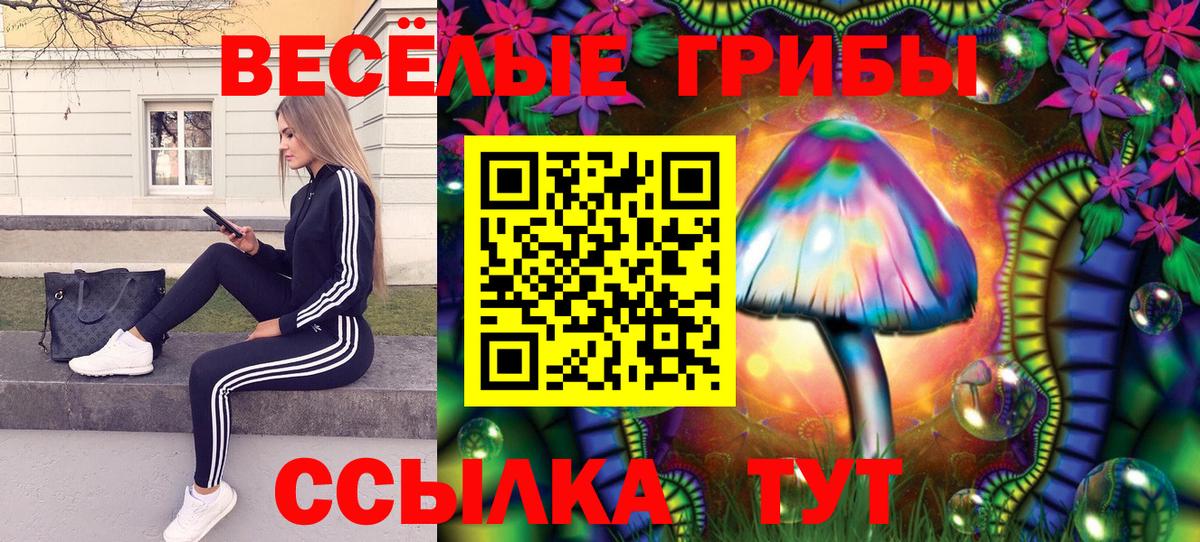 Моршанск  Галлюциногенные грибы Psilocybe  Псилоцибиновые грибы мухоморы  Вход с VPN 